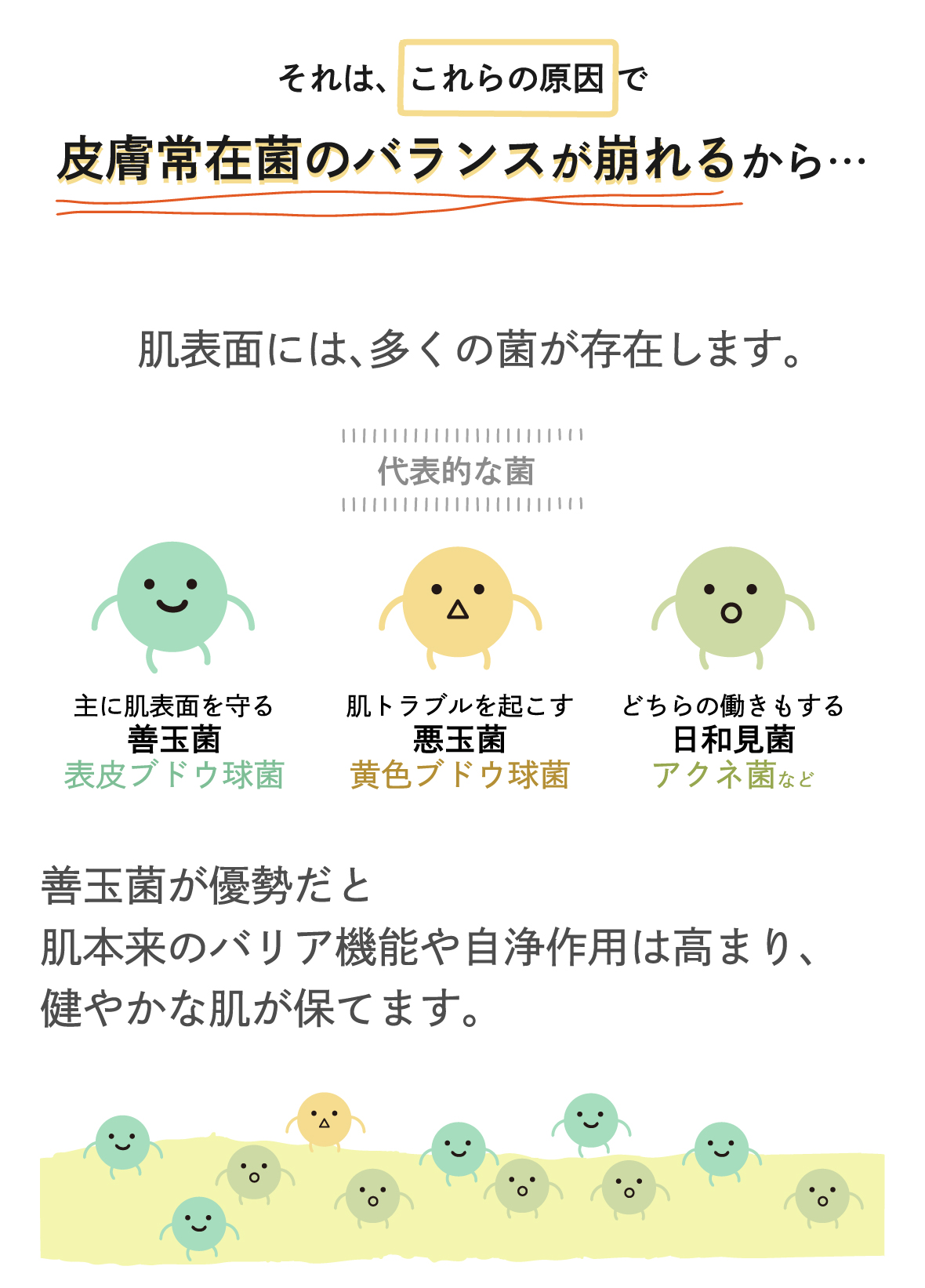 それは、これらの原因で皮膚常在菌のバランスが崩れるから。肌表面には、多くの菌が存在します。主に肌表面をまもる善玉菌、表皮ブドウ球菌。肌トラブルを起こす悪玉菌、黄色ブドウ球菌。どちらの働きもする日和見菌、アクネ菌など。善玉菌が優勢だと肌本来のバリア機能や自浄作用は高まり、健やかな肌が保てます
