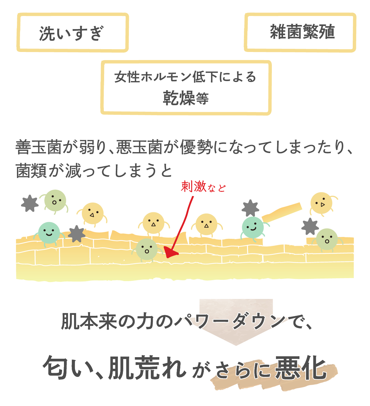 洗いすぎ、雑菌繁殖、女性ホルモン低下による乾燥など、善玉菌が弱り、悪玉菌が優勢になってしまったり、菌類が減ってしまうと、肌本来の力のパワーダウンで、匂い、肌荒れがさらに悪化