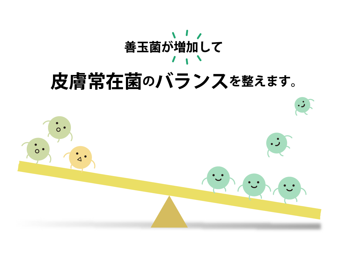 善玉菌が増加して、皮膚常在菌のバランスを整えます