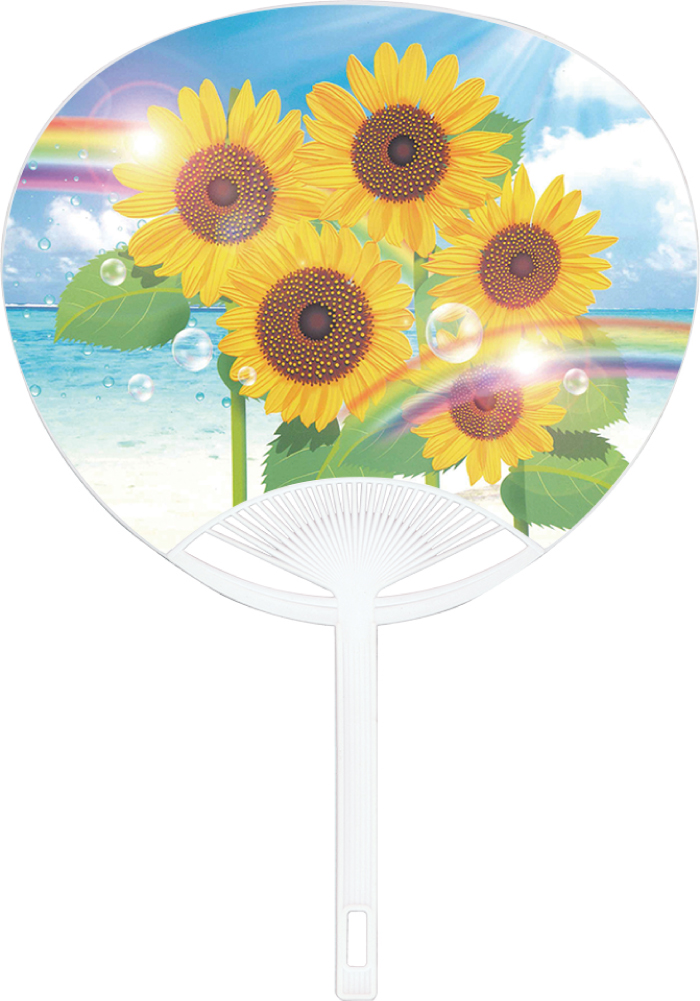 Jr　ひまわり虹