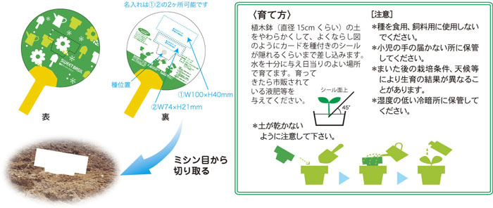 バジル植え方