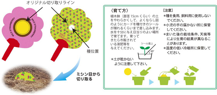 オリジナル植え方